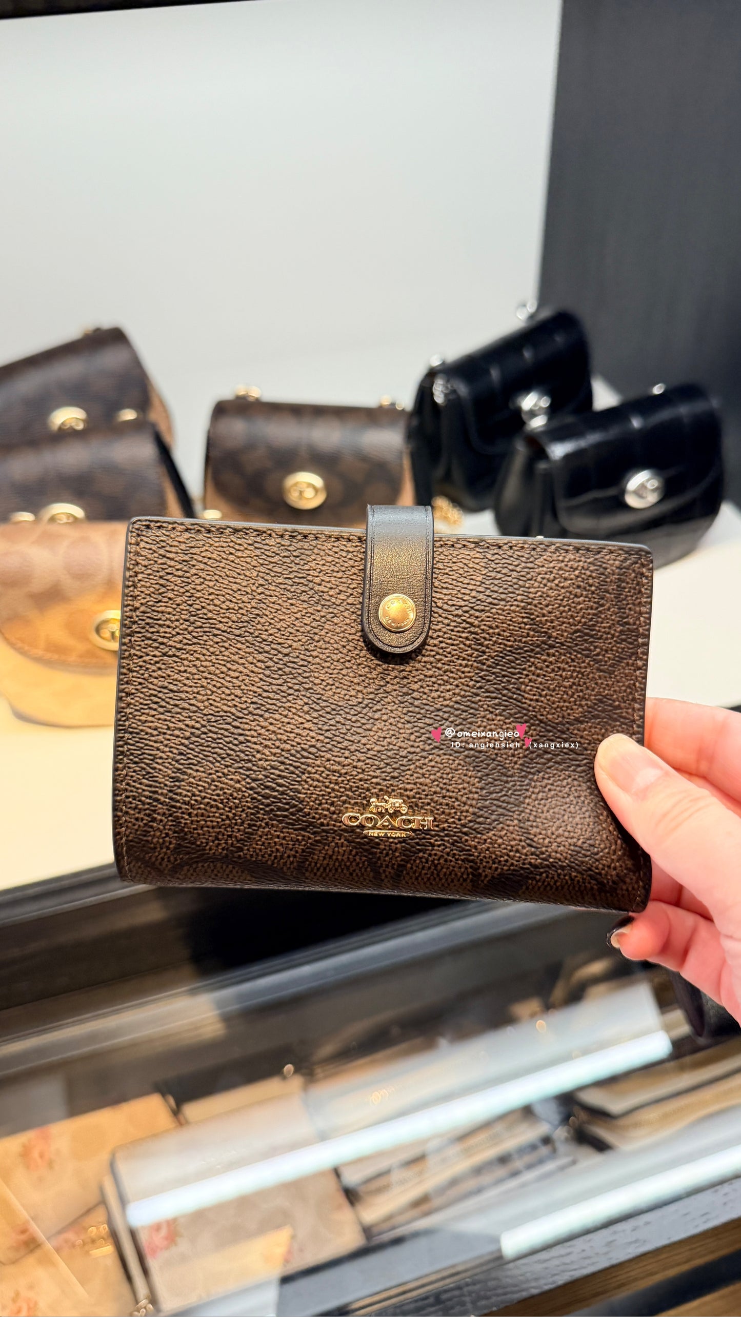 Coach 新款扣式中夾