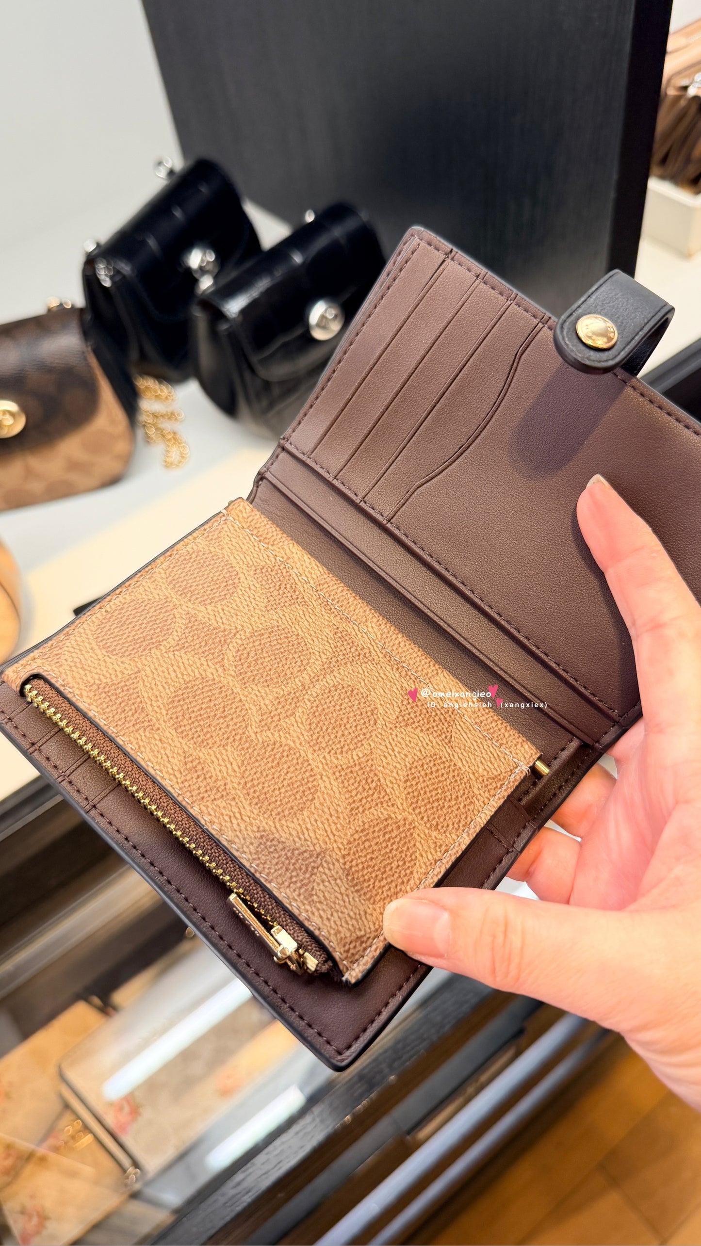 Coach 新款扣式中夾