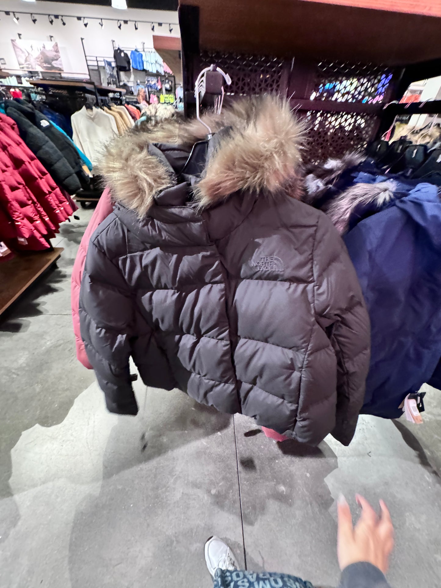 北臉 The North Face 女款 連帽羽絨外套