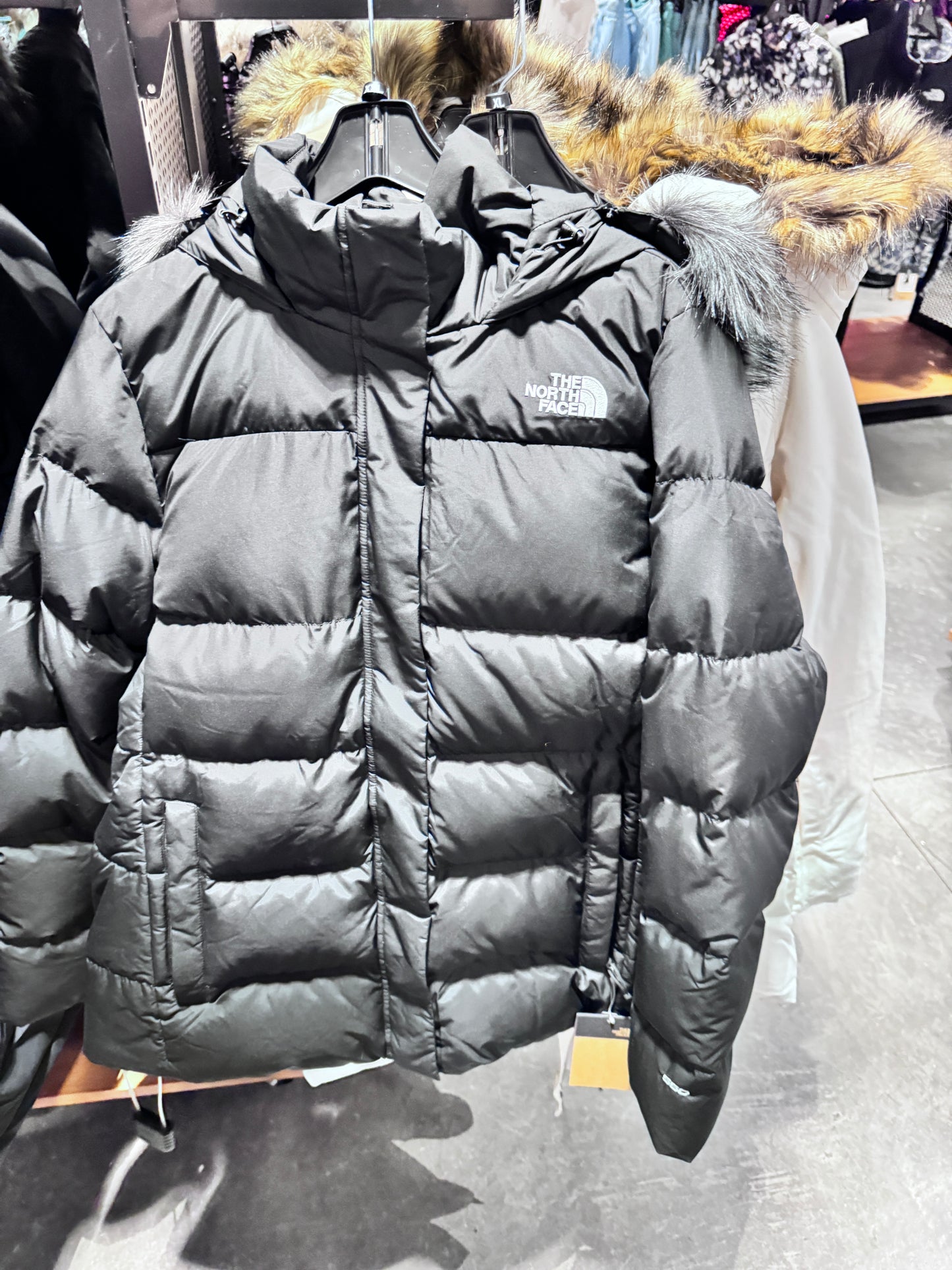 北臉 the north face 女款 黑色連帽羽絨外套